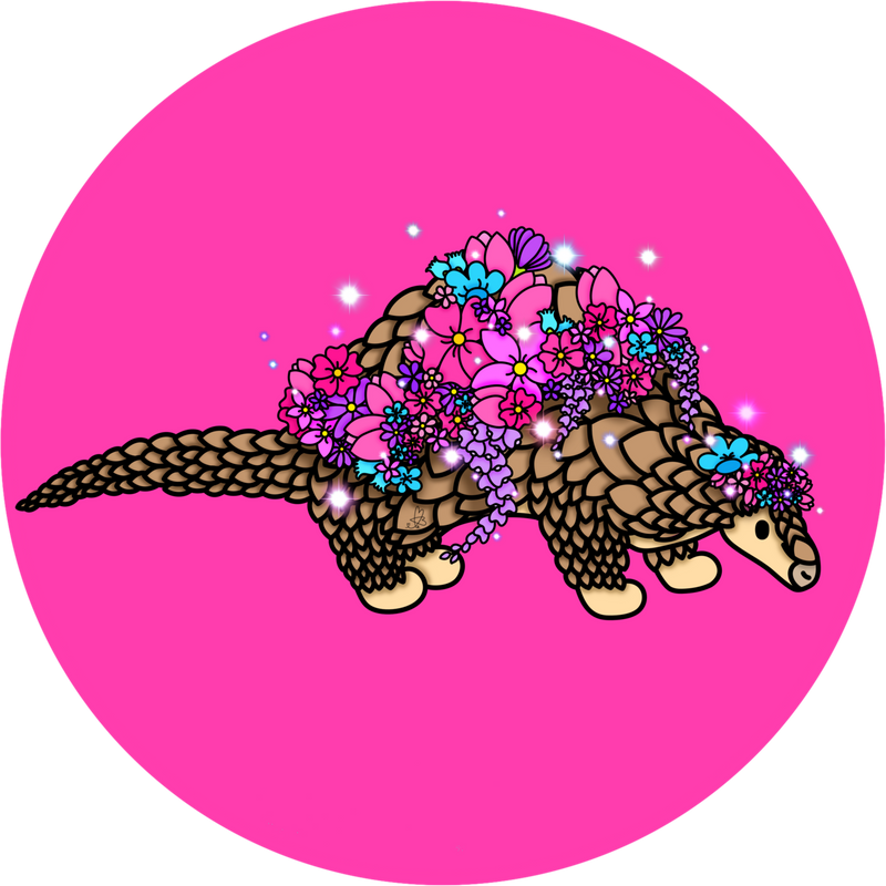 ❤︎ Pangolin Fun Facts ❤︎